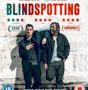 Blindspotting (Blu-Ray)
