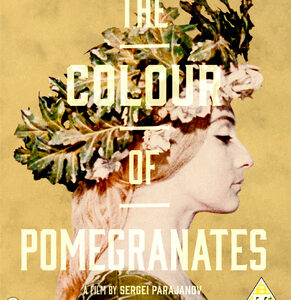 Colour of Pomegranates, The (aka Saya Nova) (Blu-Ray)