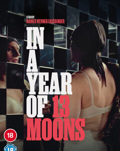 In a Year of 13 Moons (DVD)