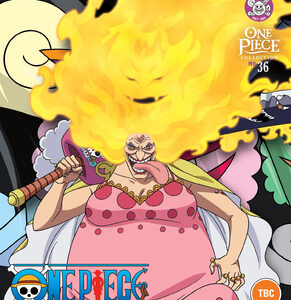 One Piece - Collection 36 (Blu-Ray)