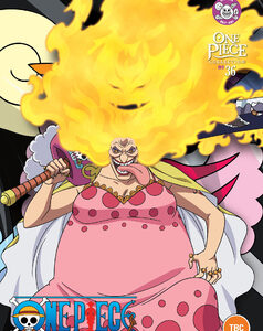 One Piece - Collection 36 (DVD)