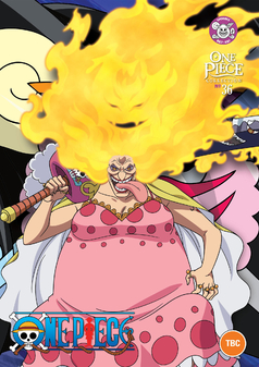 One Piece - Collection 36 (DVD)