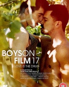 Boys On Film 17: Love Is The Drug (DVD)