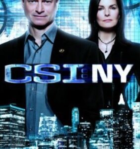 CSI: NY (CSI New York) - Season 9: The Final Season (DVD) - REGION 1