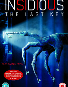 Insidious 4: The Last Key (DVD)