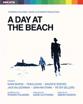 Day At The Beach, A (Blu-Ray) - Limited Edition