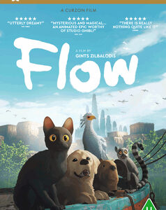 Flow (DVD)