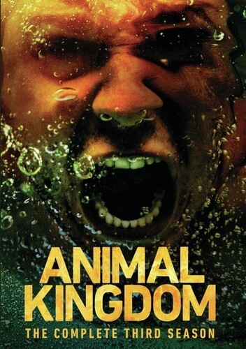 Animal Kingdom - Season 3 (DVD) - REGION 1