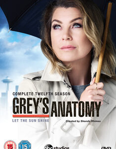 Greys Anatomy - Season 12 (DVD)