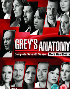 Greys Anatomy - Season 7 (DVD)
