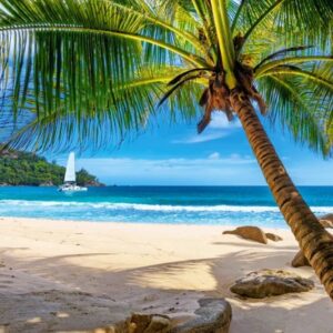 Holidays in Seychelles (500 Piece Puzzle)