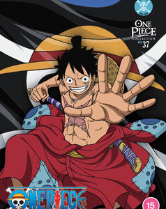 One Piece - Collection 37 (DVD) - Anime
