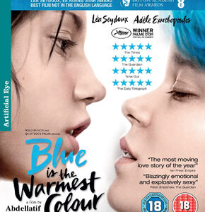 Blue is the warmest colour (Blu-Ray)
