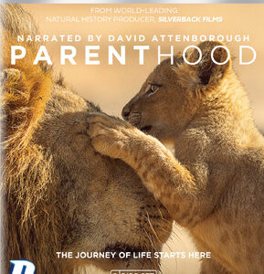 David Attenborough: Parenthood (4K Ultra HD+Blu-Ray)