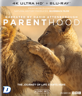 David Attenborough: Parenthood (4K Ultra HD+Blu-Ray)