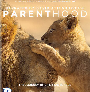 David Attenborough: Parenthood (Blu-Ray)