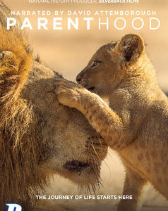 David Attenborough: Parenthood (DVD)