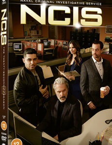 NCIS - Season 22 (DVD)