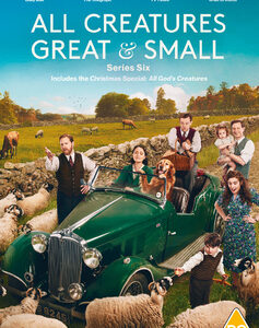 All Creatures Great and Small - Series 6 (DVD)