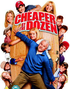 Cheaper by the Dozen (Steve Martin) (DVD)