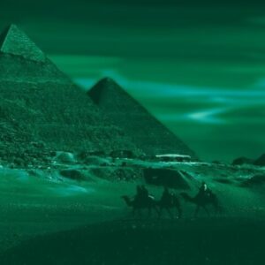 David Allman: Nightvision (CD)