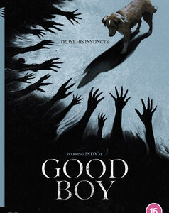 Good Boy (Indy, Shane Jensen) (DVD)
