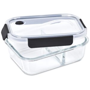 Serendipio Fairford Glass Lunch Box (SD-138)
