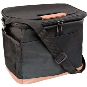 Coolix Lunch Cooler Bag - black (P2853B)