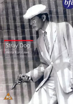 Stray Dog (DVD)