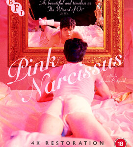 Pink Narcissus (Blu-Ray)