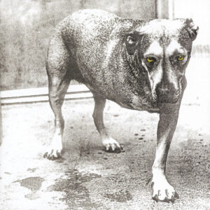 Alice in Chains: Alice in Chains (CD)
